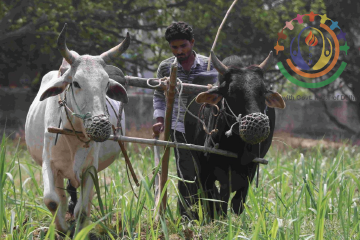 Agriculture & Animal Welfare, Fariyadi Sangh of Manavadhikar